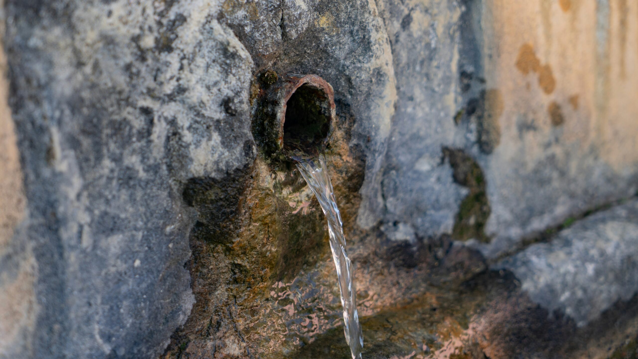 riccardo-bernucci-J-rU8qNnLCg-unsplash