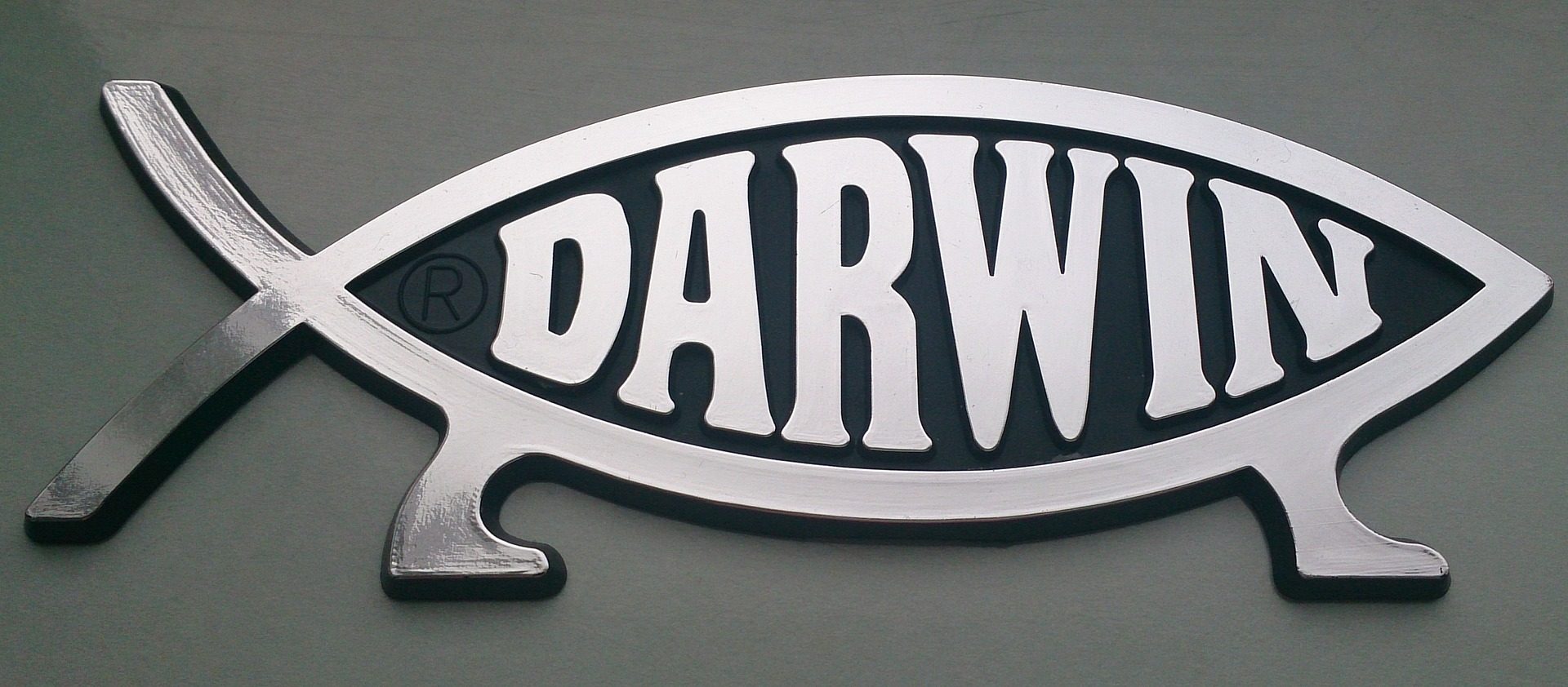 darwin-778446_1920