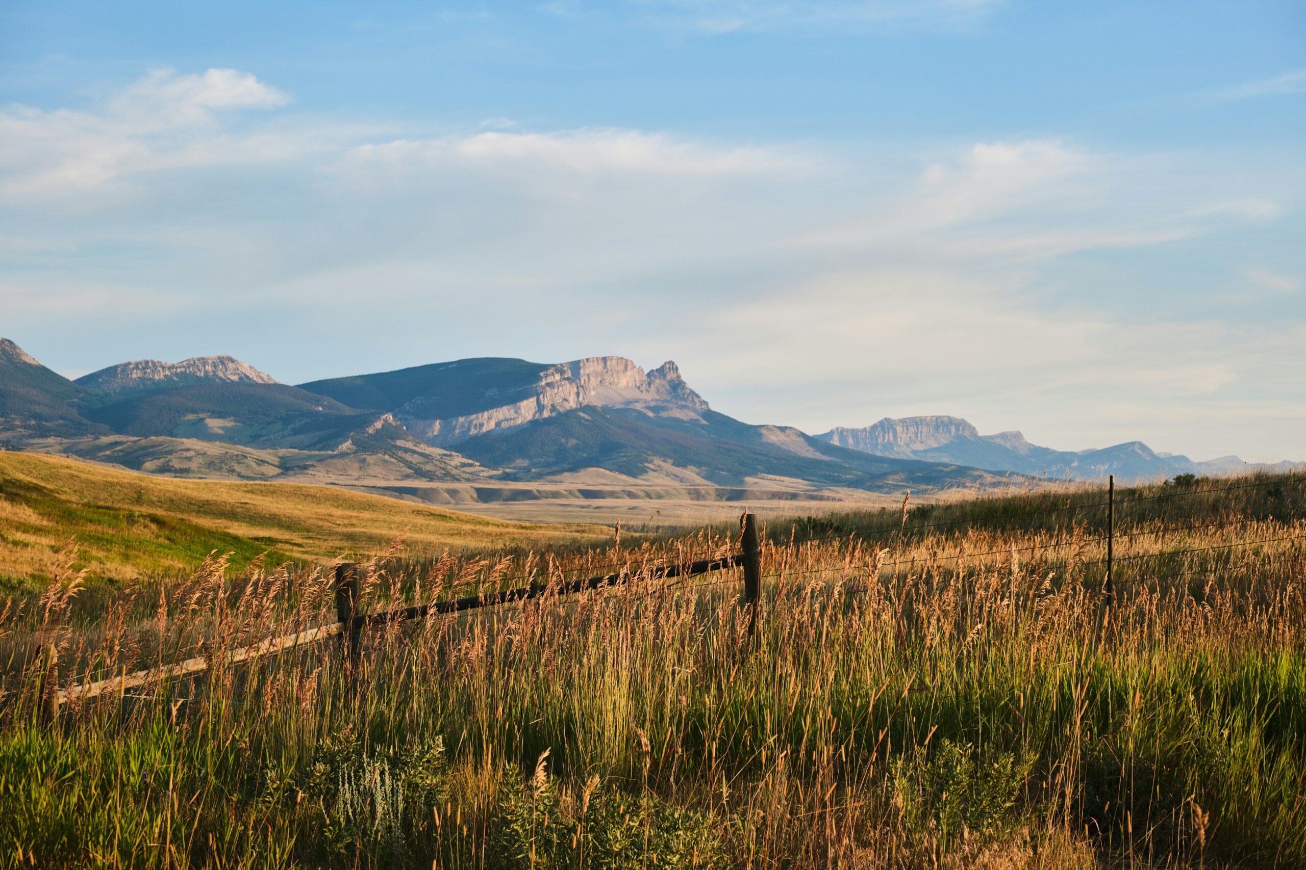 michael-bourgault-wV1gNxqelfk-unsplash