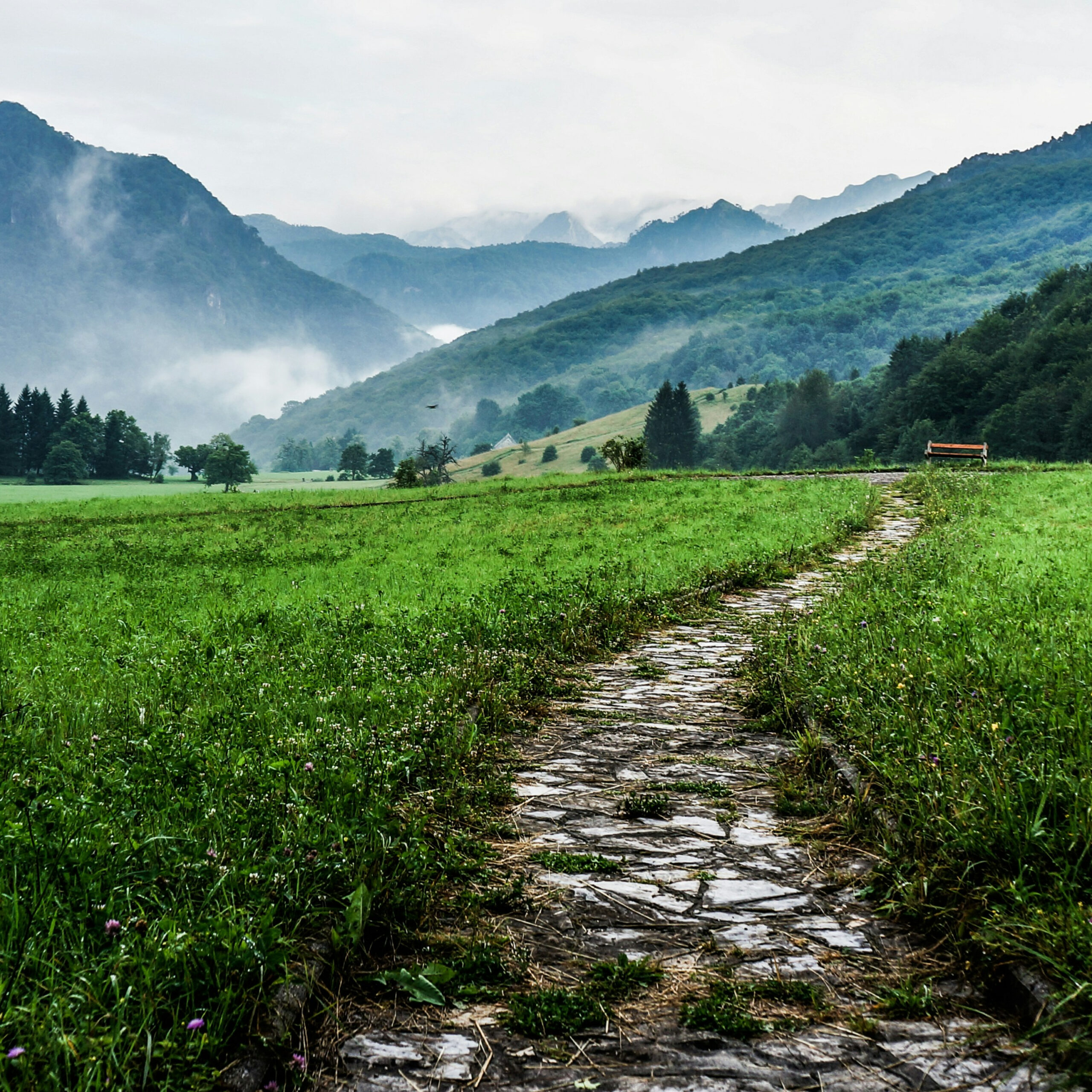 Christians and the Ten Commandments – Mark Gignilliat