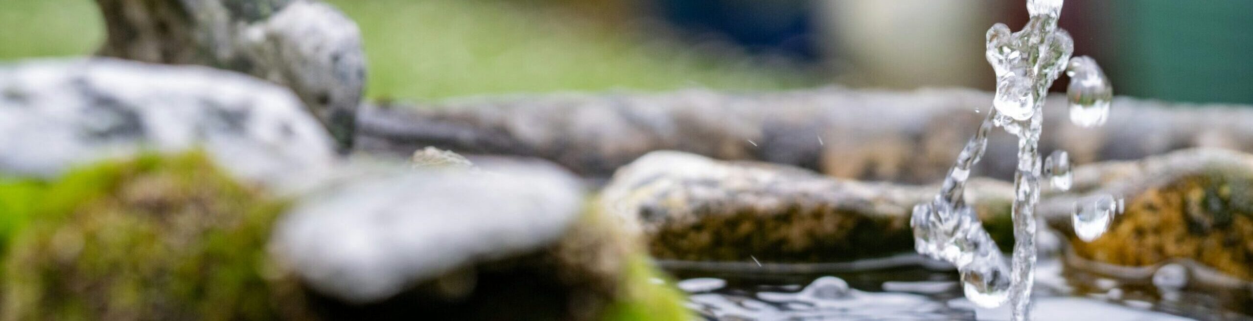 geraldine-dukes-YarVqSvgC_8-unsplash