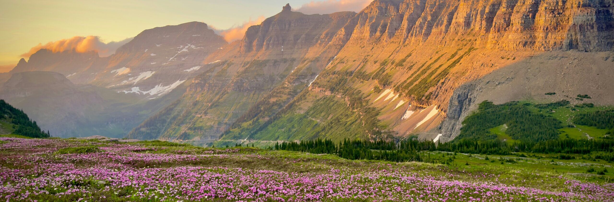 quinn-savatgy-oBGjjsBntS8-unsplash