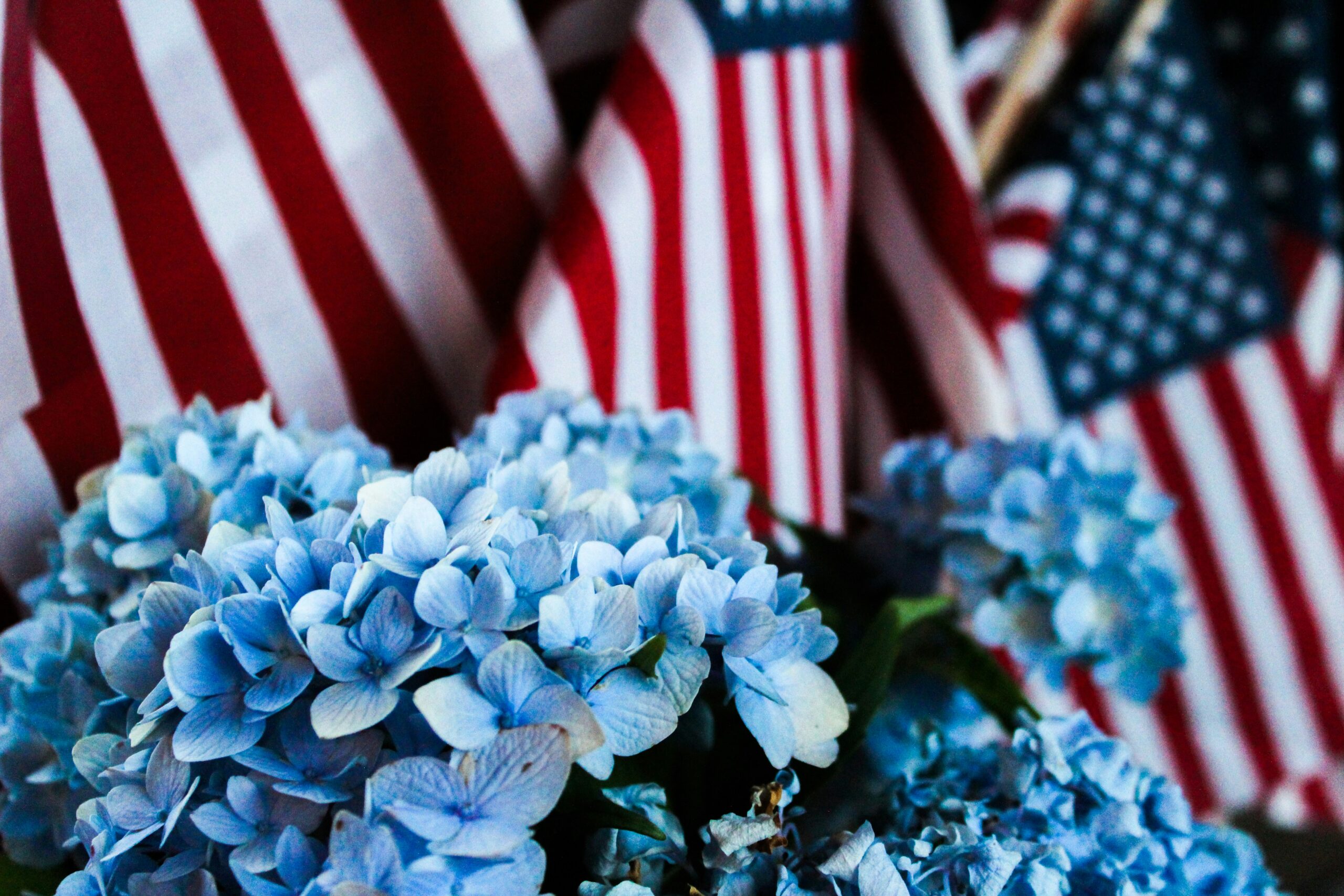 cara-rodriguez-JyGIShaGlxk-unsplash