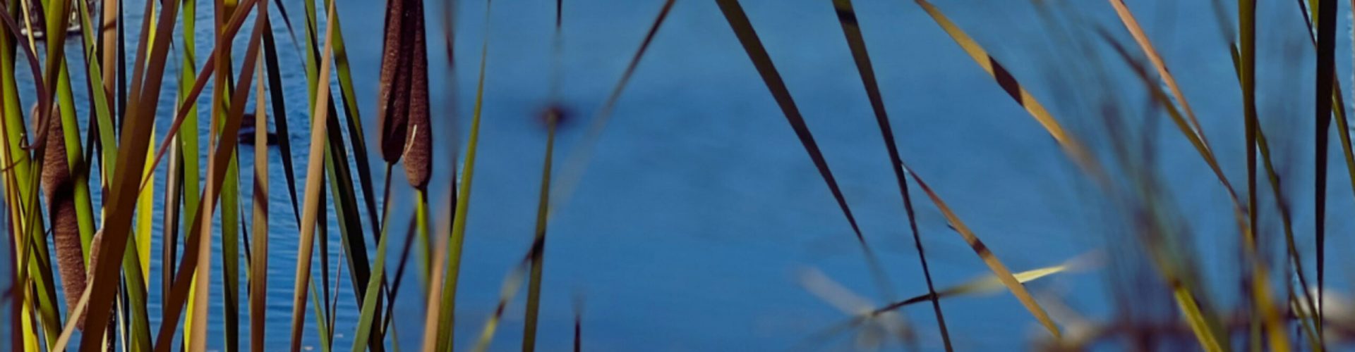 A Coaching Session – Jerry Leachman