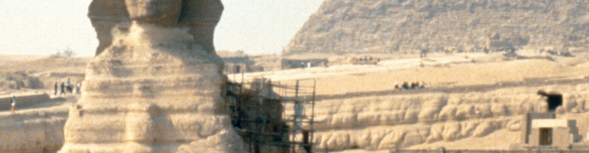 Whom Are You Going To Trust? – Dr. Mark Gignilliat