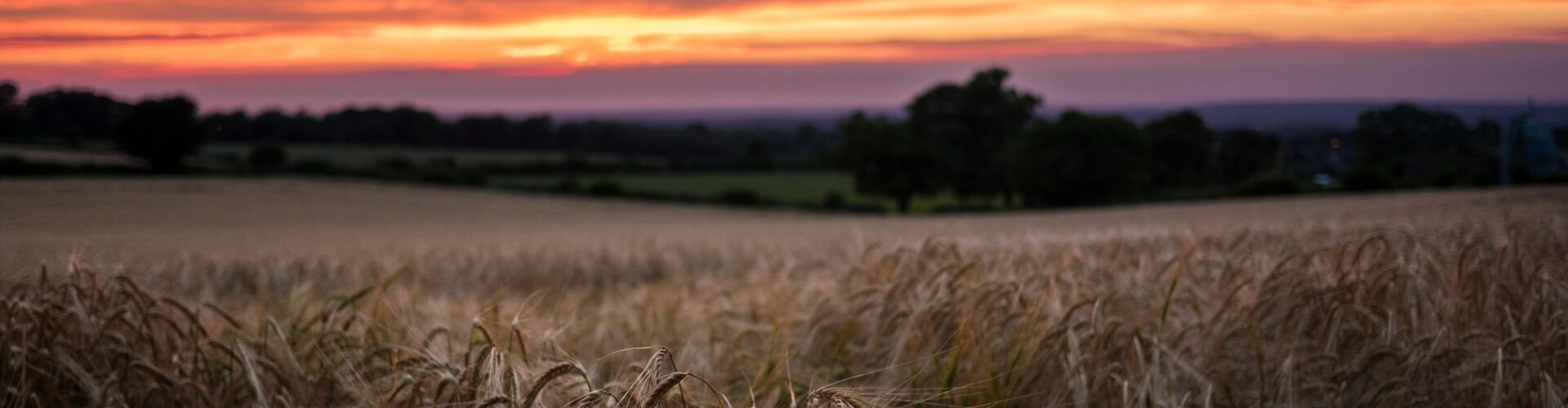 New Podcast Episode - The Law of the Harvest 1920x1080 (1)