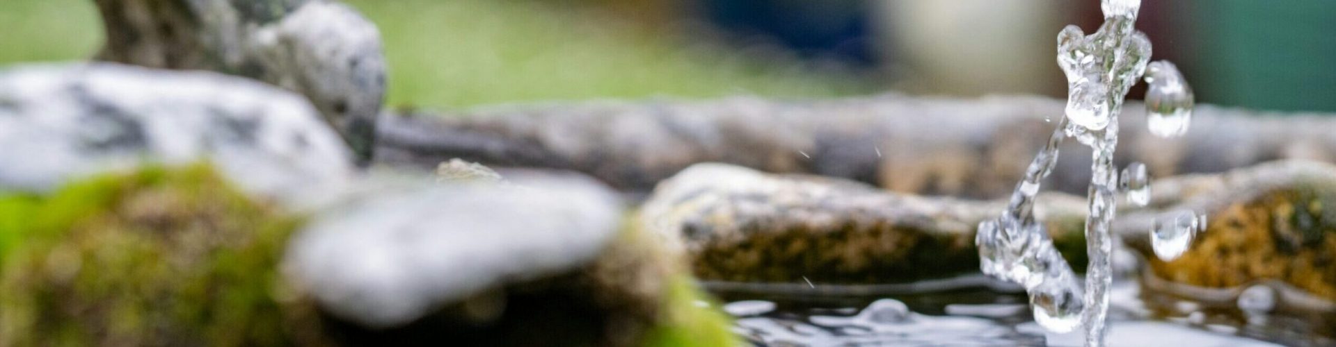 geraldine-dukes-YarVqSvgC_8-unsplash