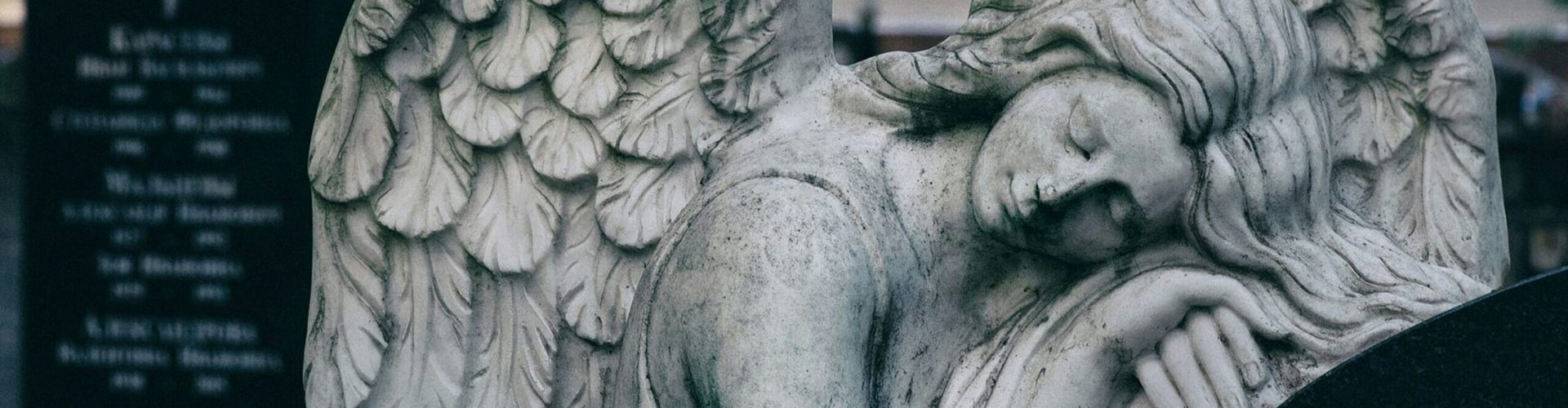 julia-kadel-Lie2dac88yY-unsplash