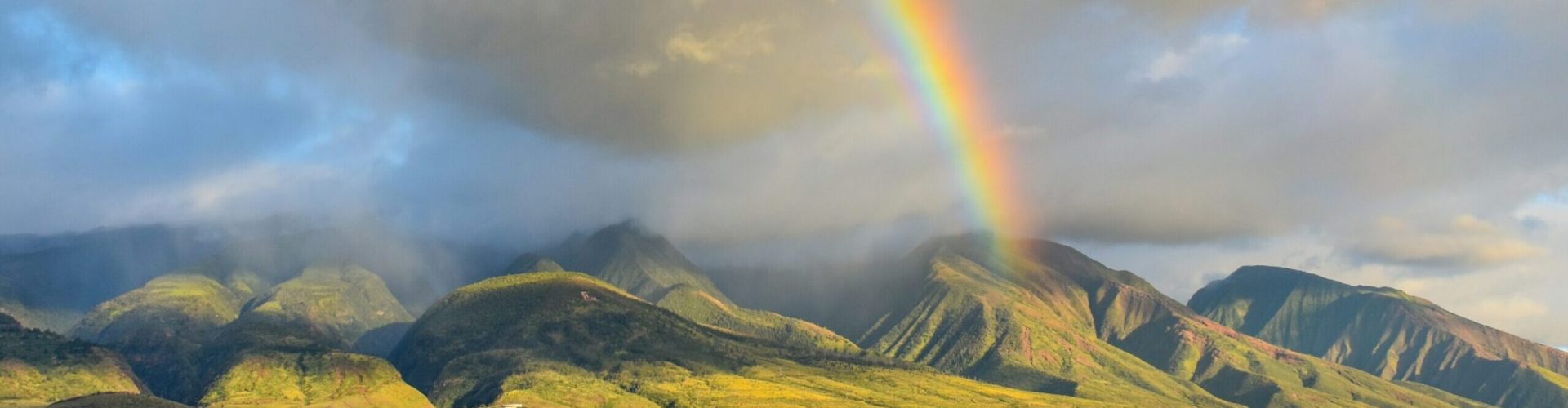 look-up-look-down-photography-t02XukS9dUU-unsplash