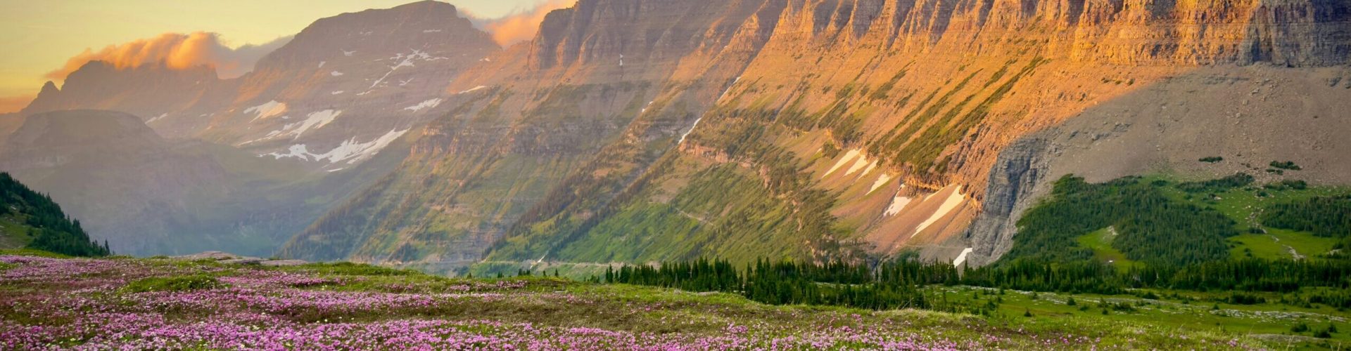 quinn-savatgy-oBGjjsBntS8-unsplash